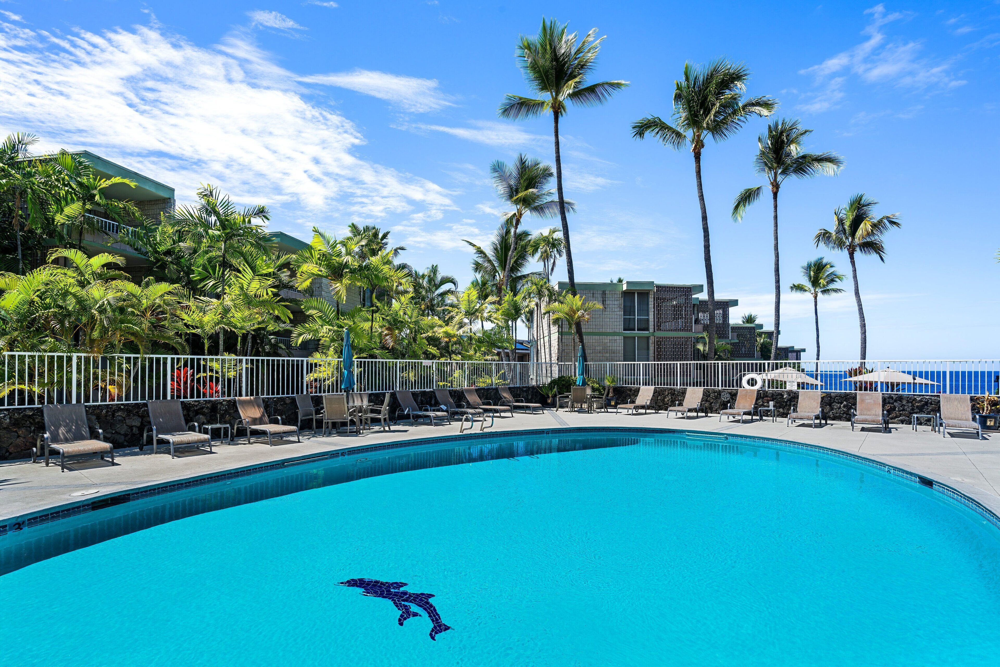 Une piscine avec des chaises longues et des palmiers.