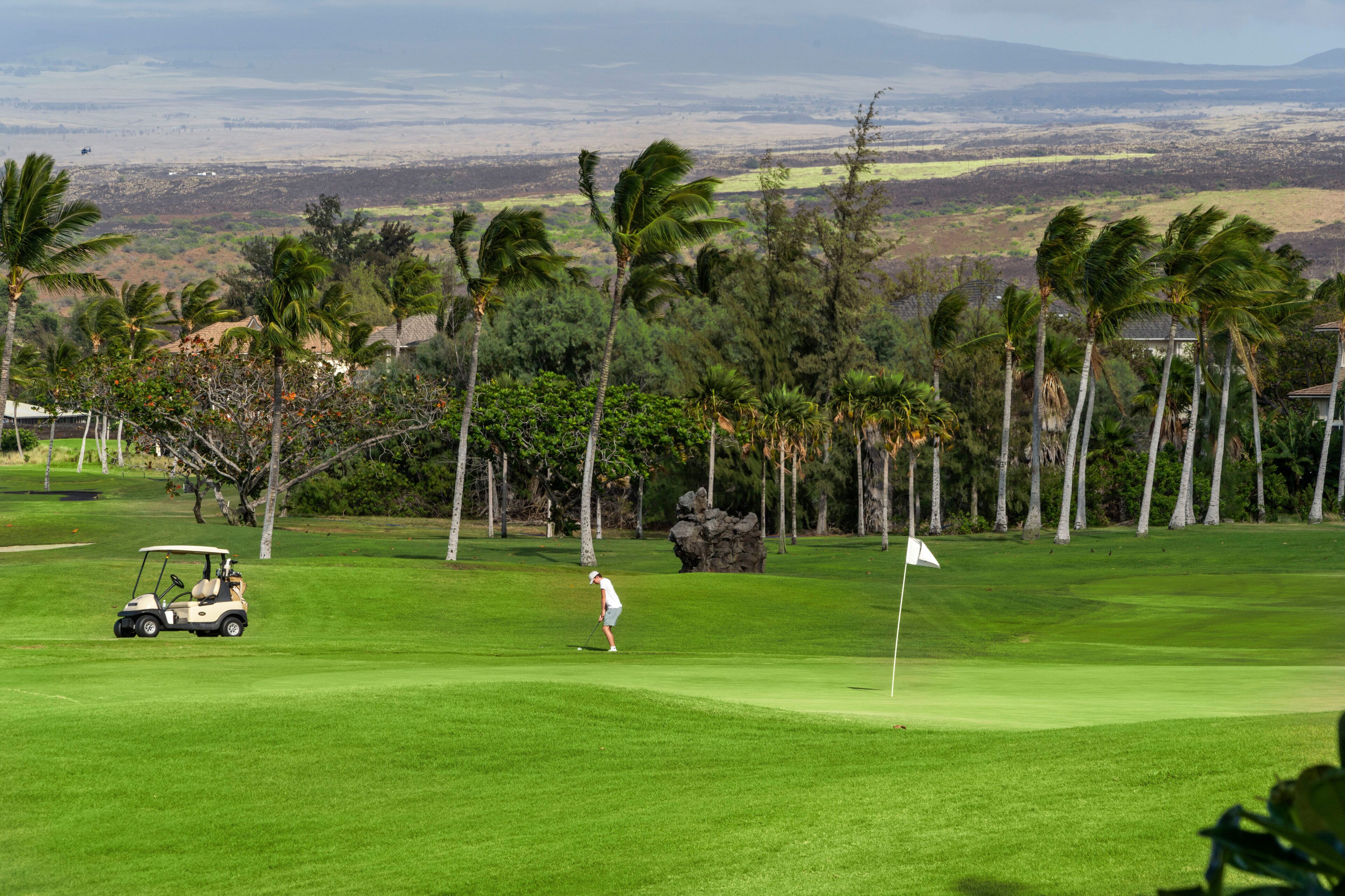 A golf course with a putting green, a golf cart, and a golfer.