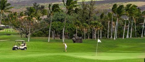A golf course with a putting green, a golf cart, and a golfer.