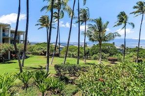 Exterior - Corner Unit - AC & Wifi - Concierge Included - Vrkcv (Waikoloa)