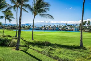 Golf - Paradise Getaway- Golf Course and Lake Views -vrkcv (Waikoloa)