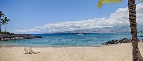 بالقرب من الشاطئ