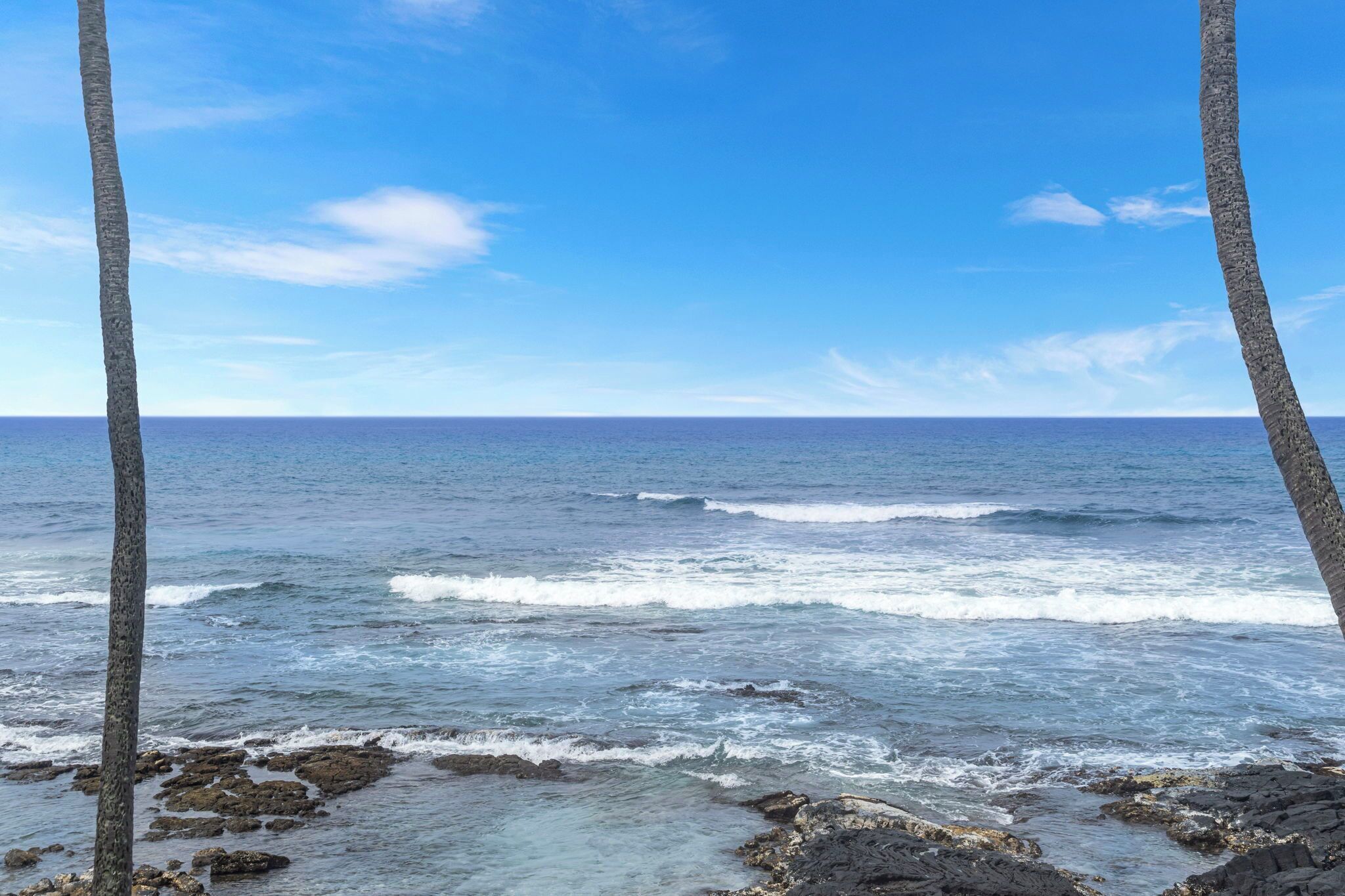 A beach with rocky shoreline and palm trees.