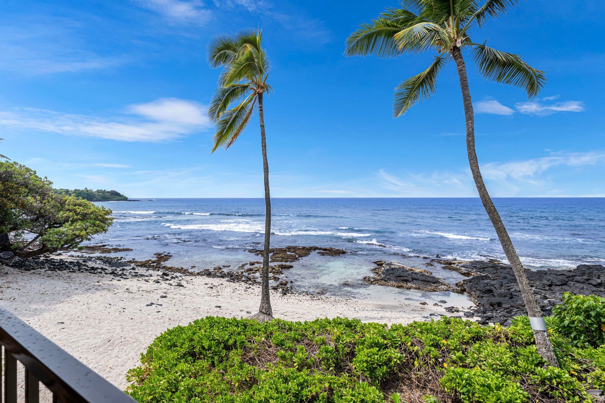 A beach with two palm trees, clear blue sky, and ocean waves.