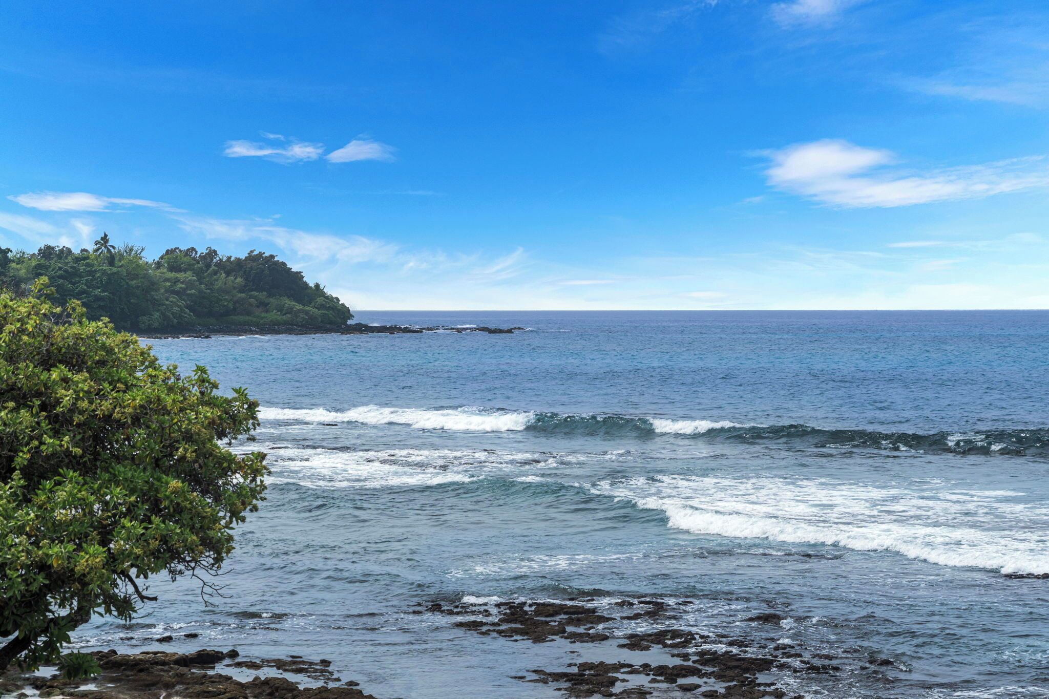 A coastal view with waves, a tree, and a distant landmass.
