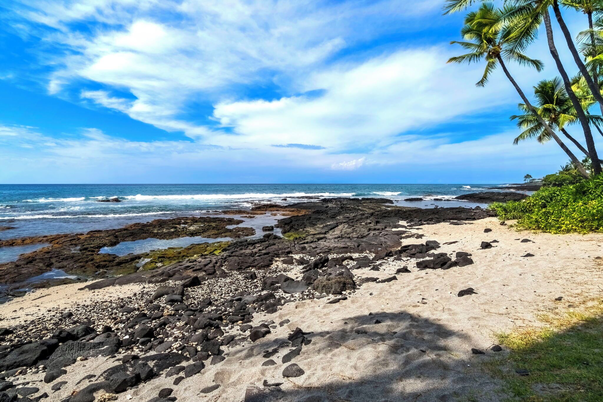 Une plage rocheuse bordée de palmiers et baignée par les vagues de l’océan.