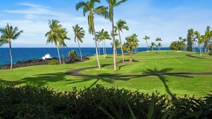 A golf course with a view of the ocean and palm trees.
