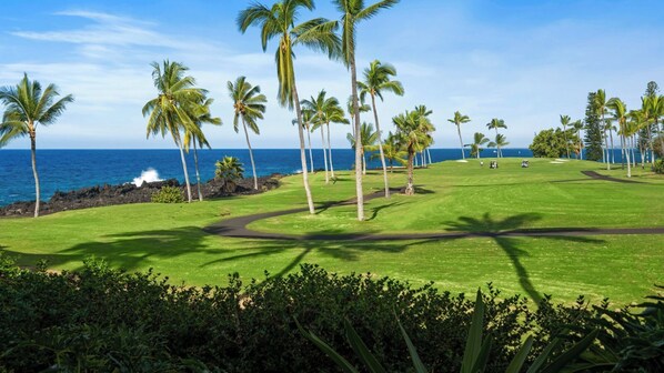 Un parcours de golf offrant une vue sur l’océan et les palmiers.