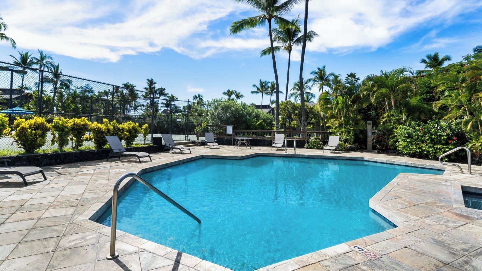 A rectangular swimming pool with a metal ladder, surrounded by lounge chairs and palm trees.