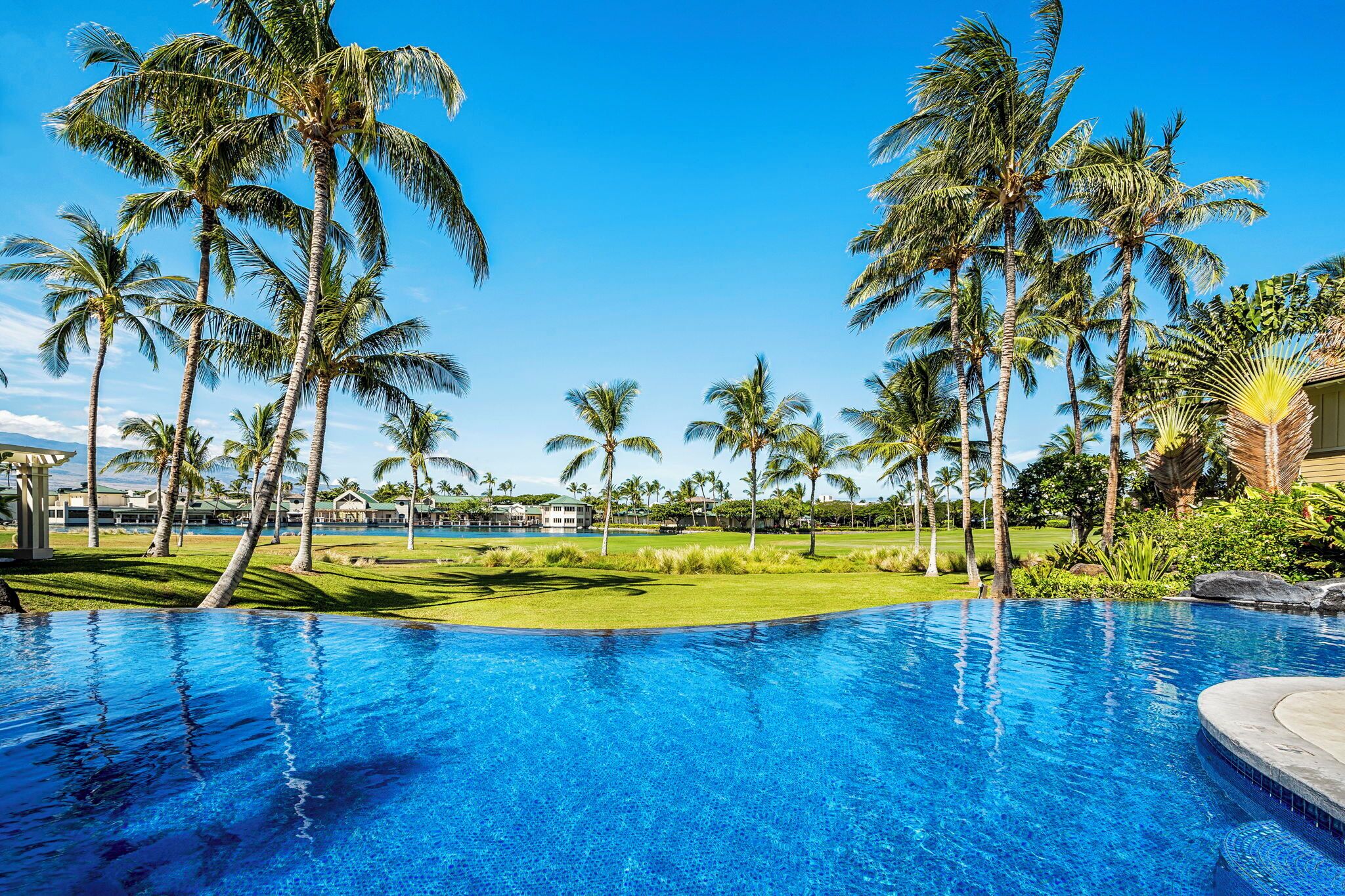Une piscine entourée de palmiers et bordée d’une pelouse bien entretenue.