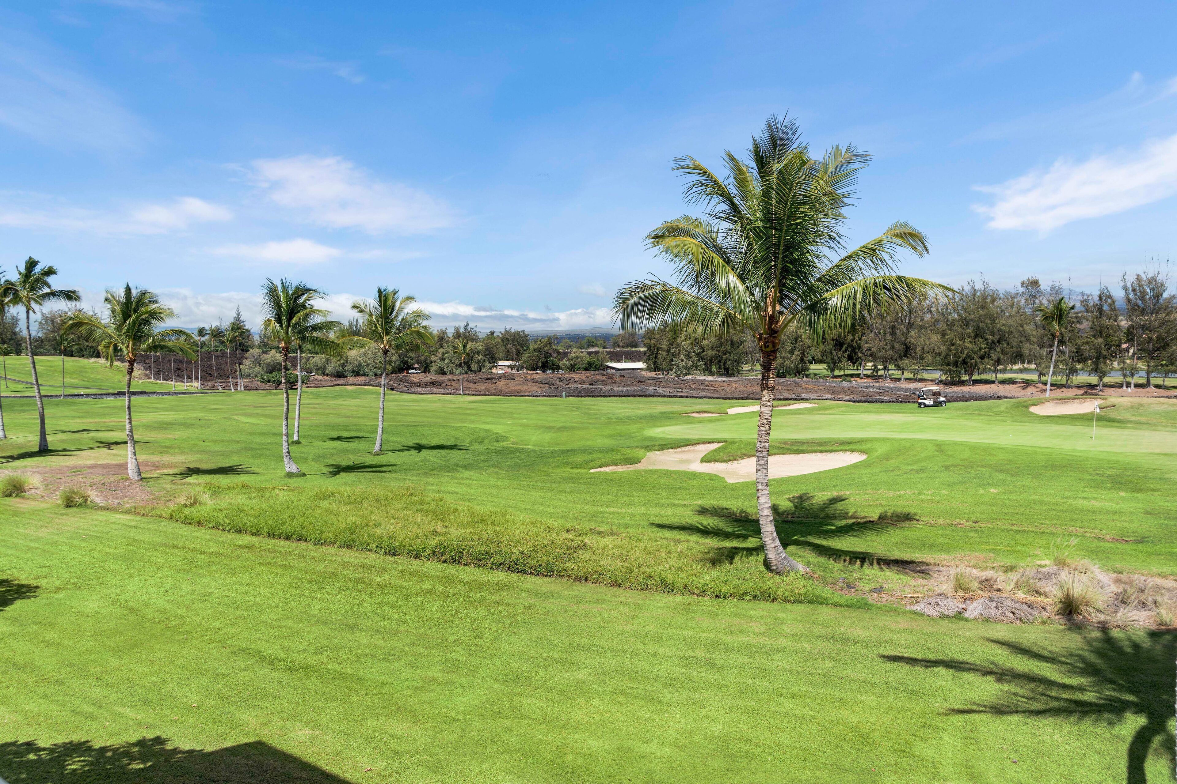 Un parcours de golf avec une pelouse bien entretenue, des palmiers et des bunkers de sable.