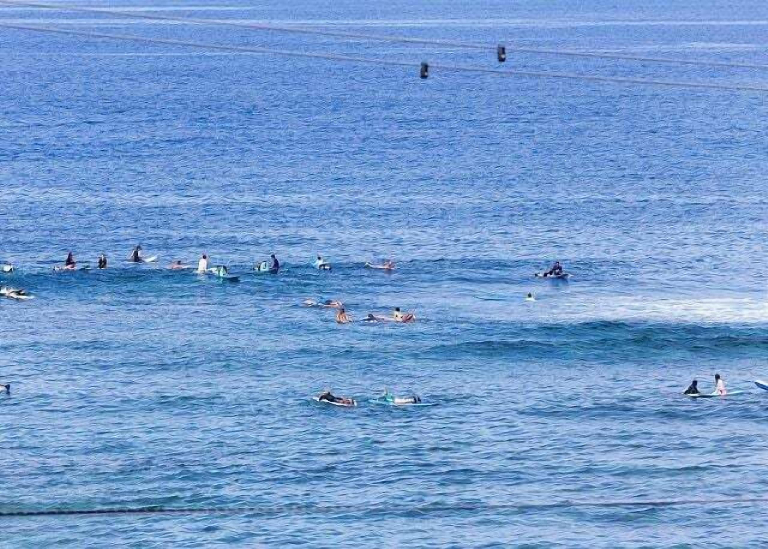A group of people surfing in the ocean.