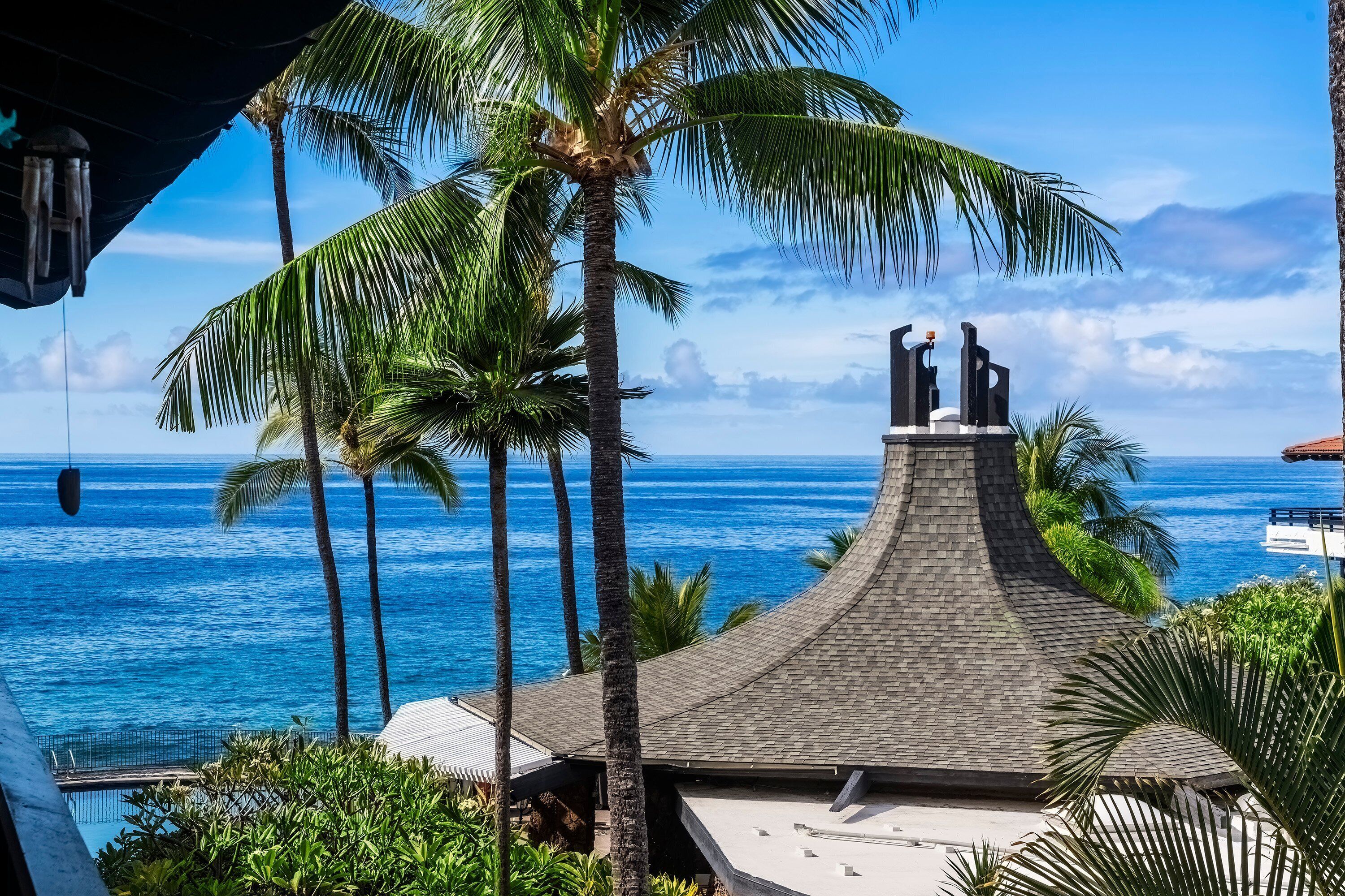 A coastal view with a curved building, palm trees, and a clear blue ocean.