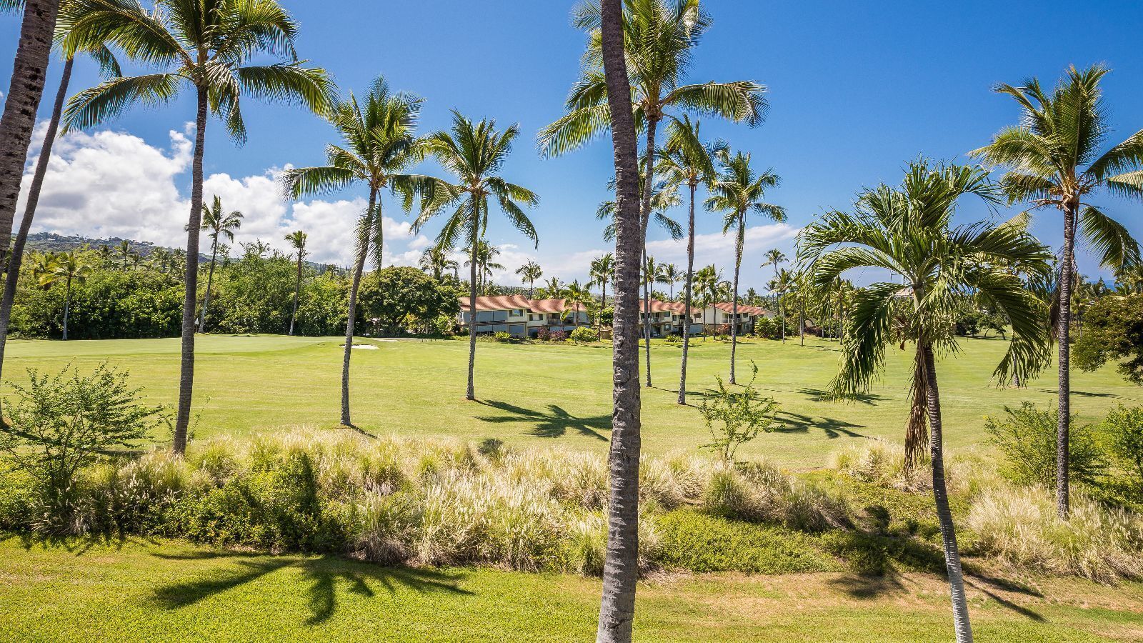 Ein Golfplatz mit Palmen und einem Gebäude im Hintergrund.