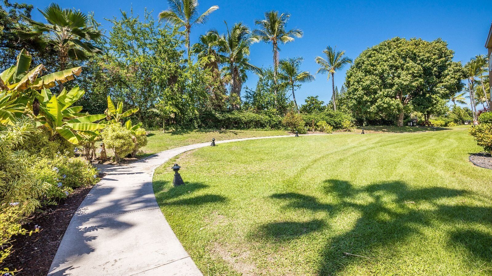 A well-maintained garden with a curved pathway, lush greenery, and palm trees.