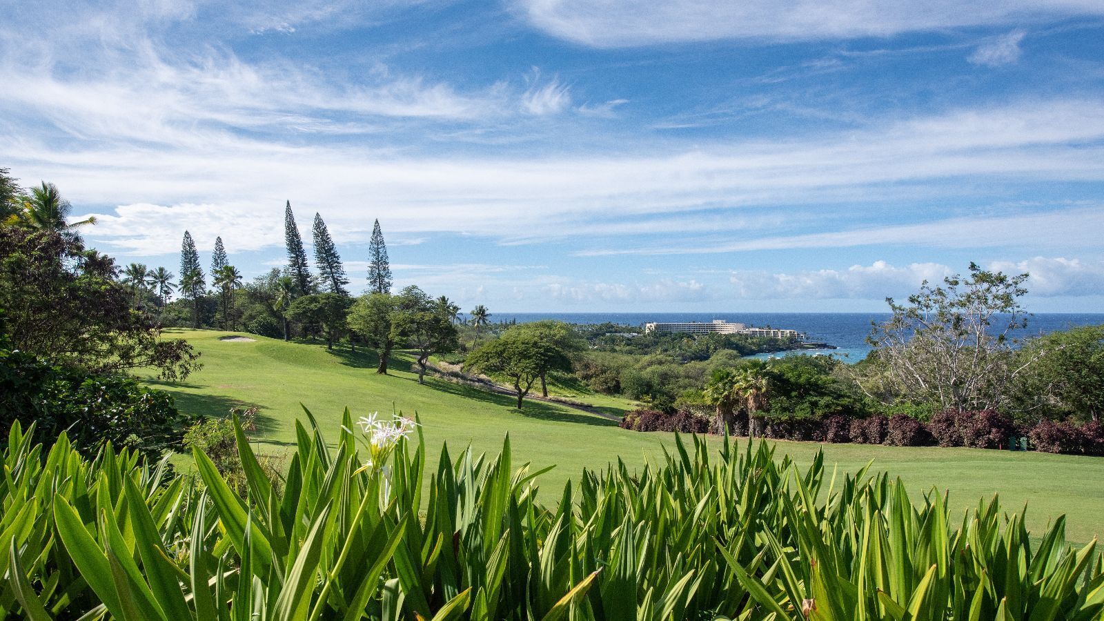 A golf course with a view of the ocean and a resort in the background.