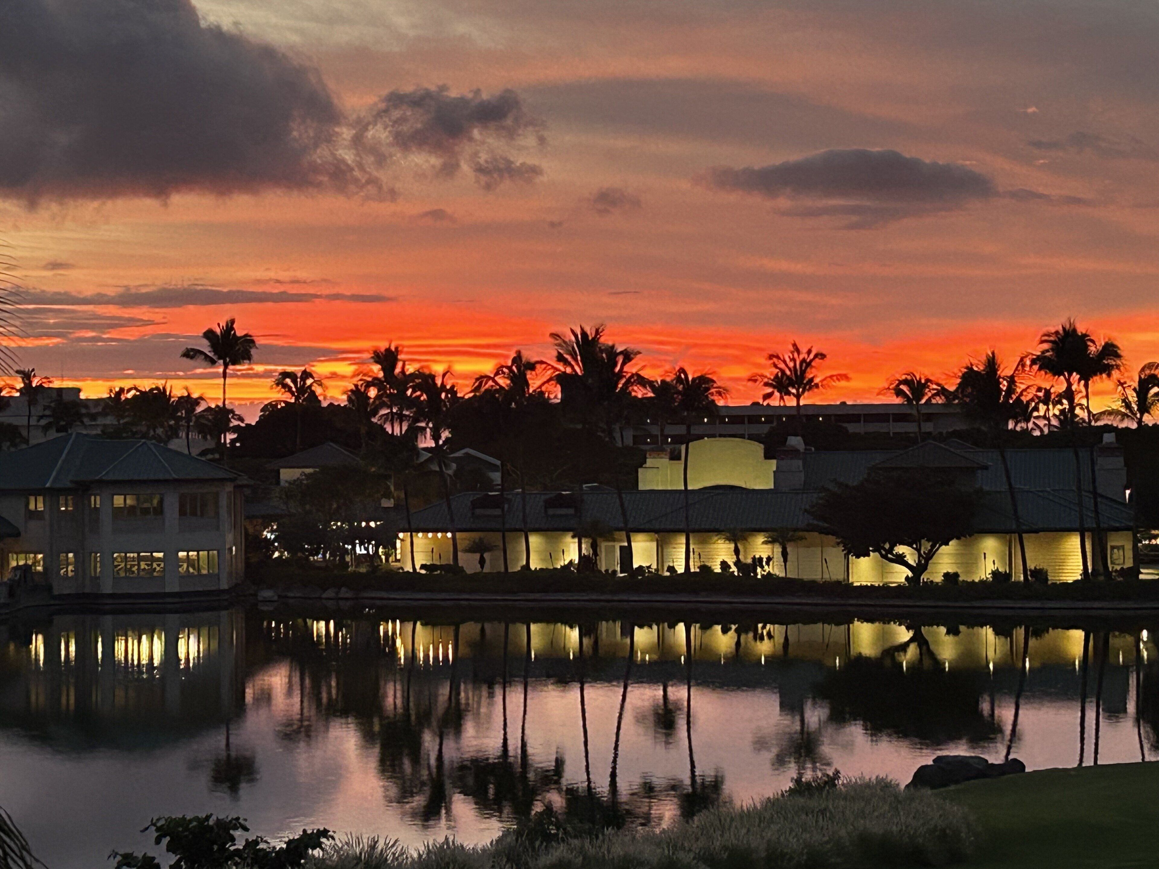 Un hotel frente al agua con piscina reflejante, palmeras y un cielo al atardecer.