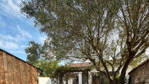 A garden pathway leading to a covered patio area with a pergola, surrounded by a wooden fence and a stone wall. - Charming 2-bedroom house in La Flotte-en-Ré, near beach and port (La Flotte)
