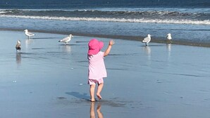 A child on a beach with seagulls. - Ocean Park Meadows. 2-bedroom, 1.5 baths condo in Old Orchard Beach. (Old Orchard Beach)
