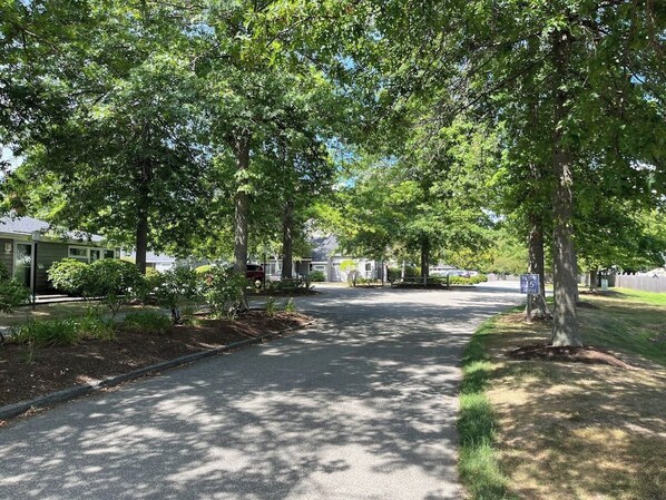 A quiet residential street lined with trees and houses.