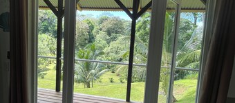 Private island retreat steps from nightlife, surrounded by nature!