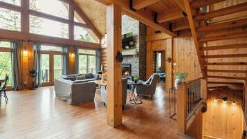 TV connectée, cheminée, lecteur de DVD, livres