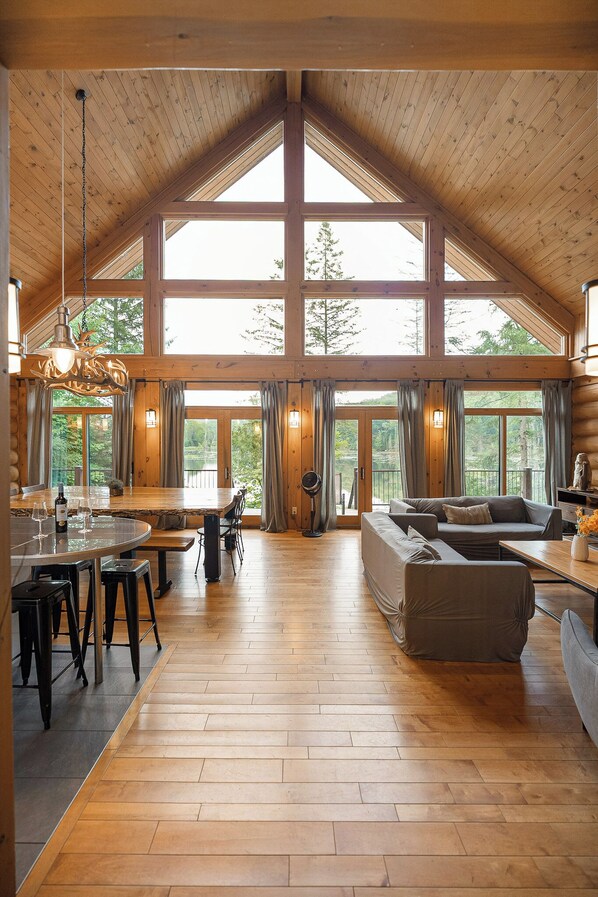 Smart TV, fireplace, DVD player, books