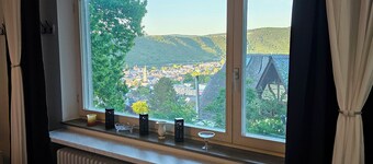 Little Rhine View Château - Harry: Apartment at the largest Rhine bend