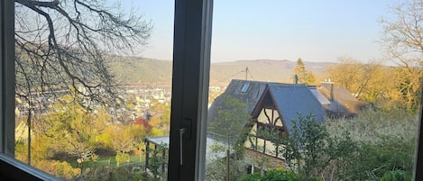Vista da janela com vista para uma casa com telhado inclinado e painéis solares, cercada por árvores e uma cidade ao longe.