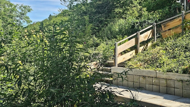 A wooden staircase leading up a hill, surrounded by dense greenery. - Little Rhine View Château - Harry: Apartment at the largest Rhine bend/loop (Boppard)
