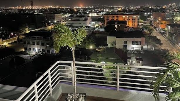 A night view of a cityscape with buildings and a palm tree in the foreground.