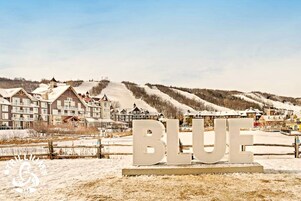 A resort with multiple buildings, a ski slope, and a large 'BLUE' sign in the foreground.
