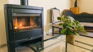 A modern living room with a glass-top coffee table, a black wood-burning stove, a sofa, a patterned armchair, and a small plant.