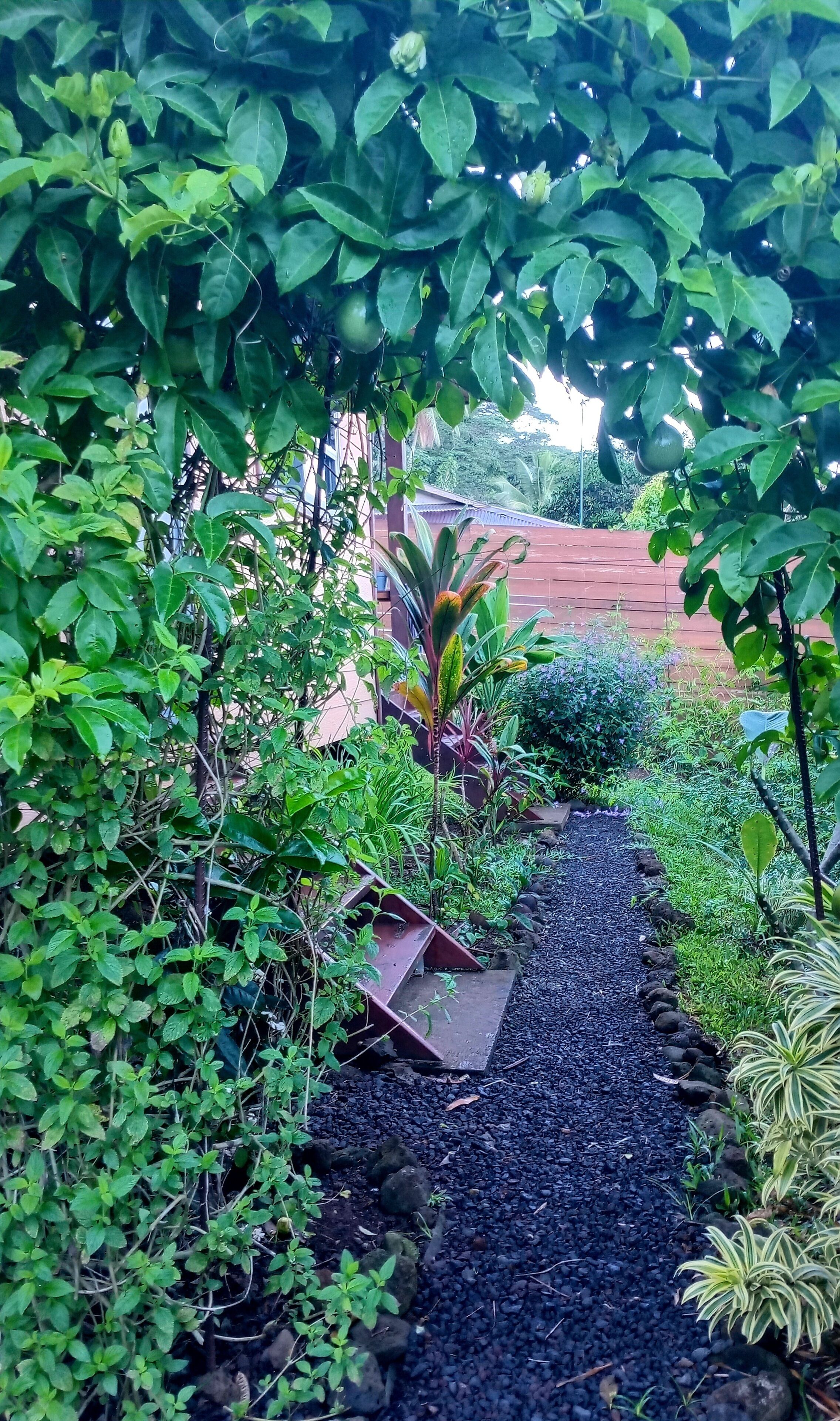 Un vialetto fiorito con diverse piante e una struttura in metallo.