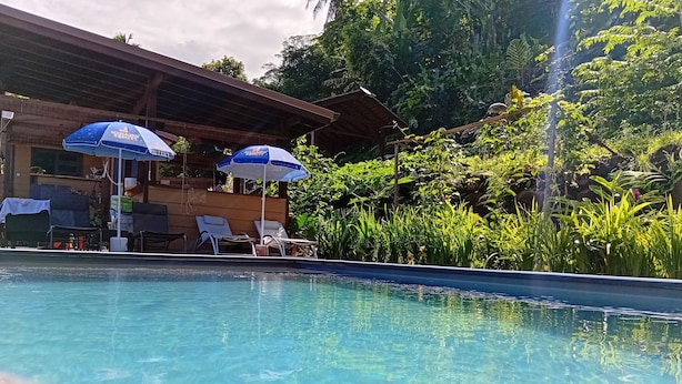 A clear swimming pool with lounge chairs and umbrellas, surrounded by lush greenery and a wooden structure. - Fare atihau vairao  (Taiarapu-Ouest)