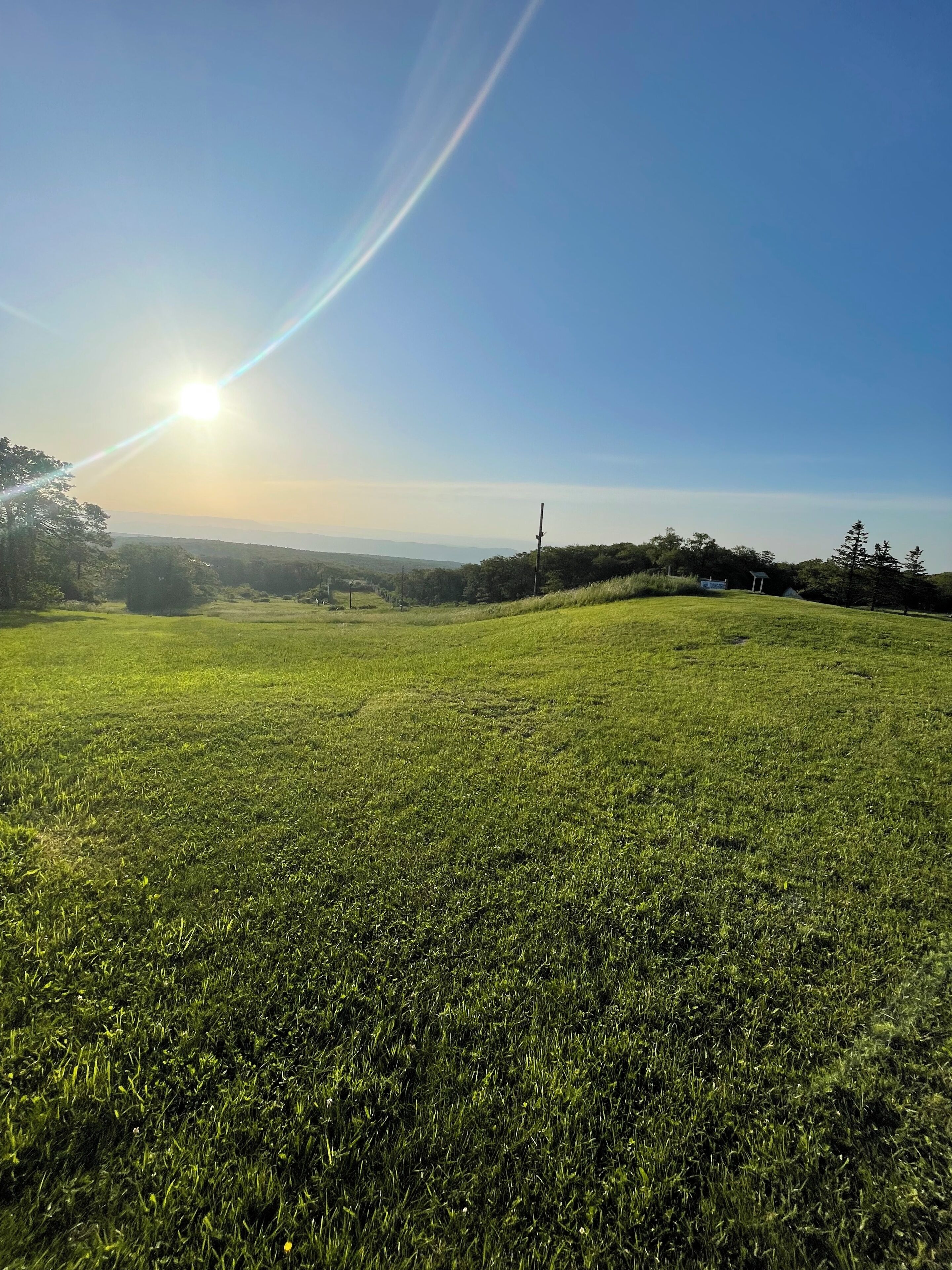 A grassy field with a clear sky and distant mountains.