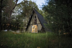A small, rustic cabin with a sloped roof, surrounded by tall trees and overgrown grass.