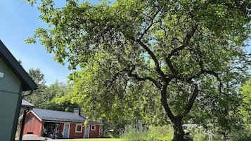 Ulkopuoli