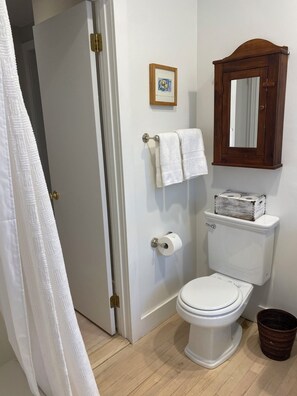 Secadora de cabello, toallas, jabón, papel de baño 