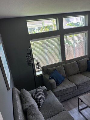 Smart TV, chimenea y libros