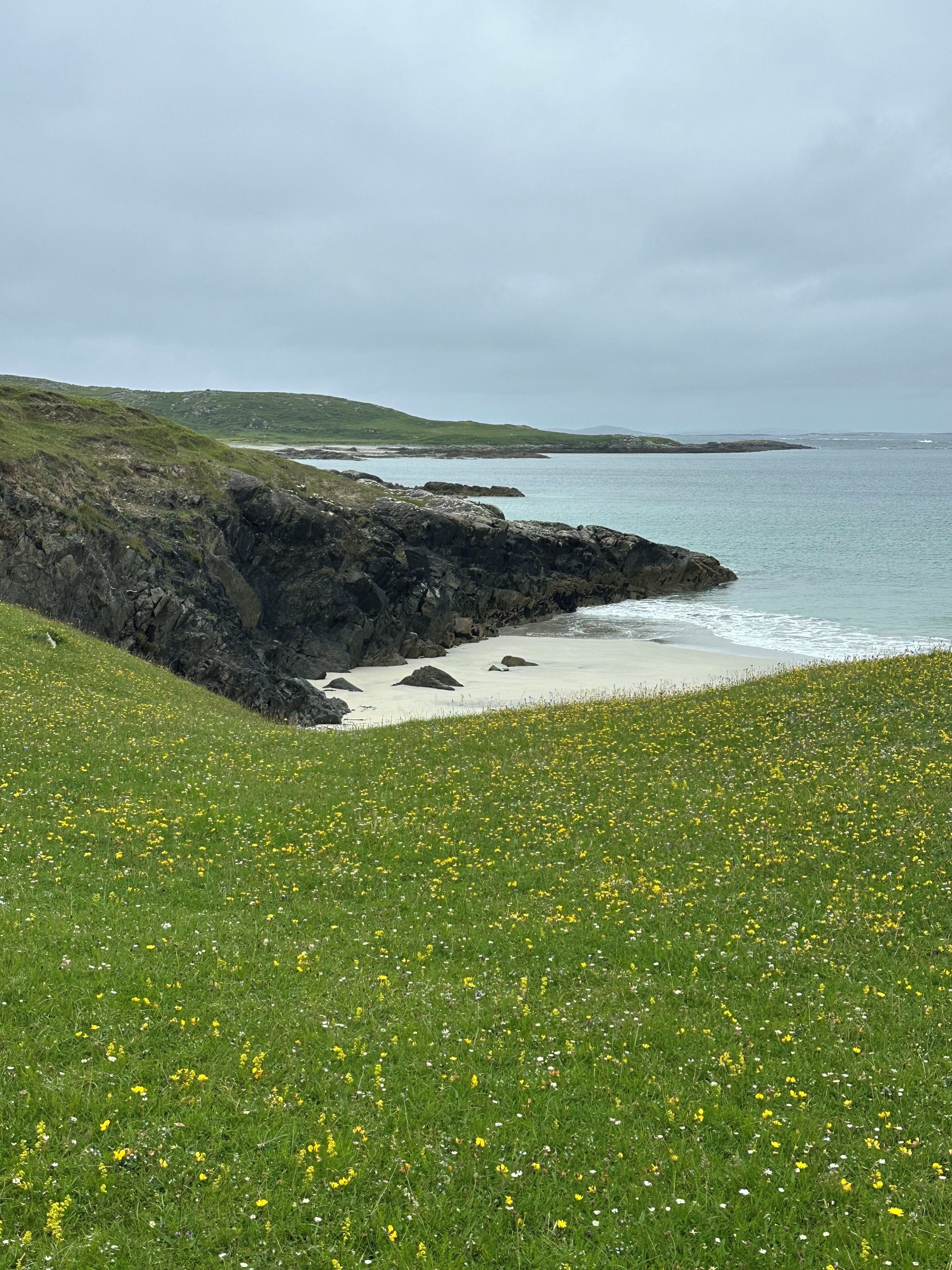 A coastal landscape with a grassy foreground, rocky cliffs, and a beach.