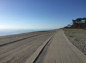 Nära stranden