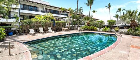 A swimming pool with a tiled edge, surrounded by lounge chairs and palm trees.