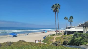 Sun-loungers, beach towels