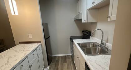Spacious and Fully Renovated-C 2 BR, 1 RR