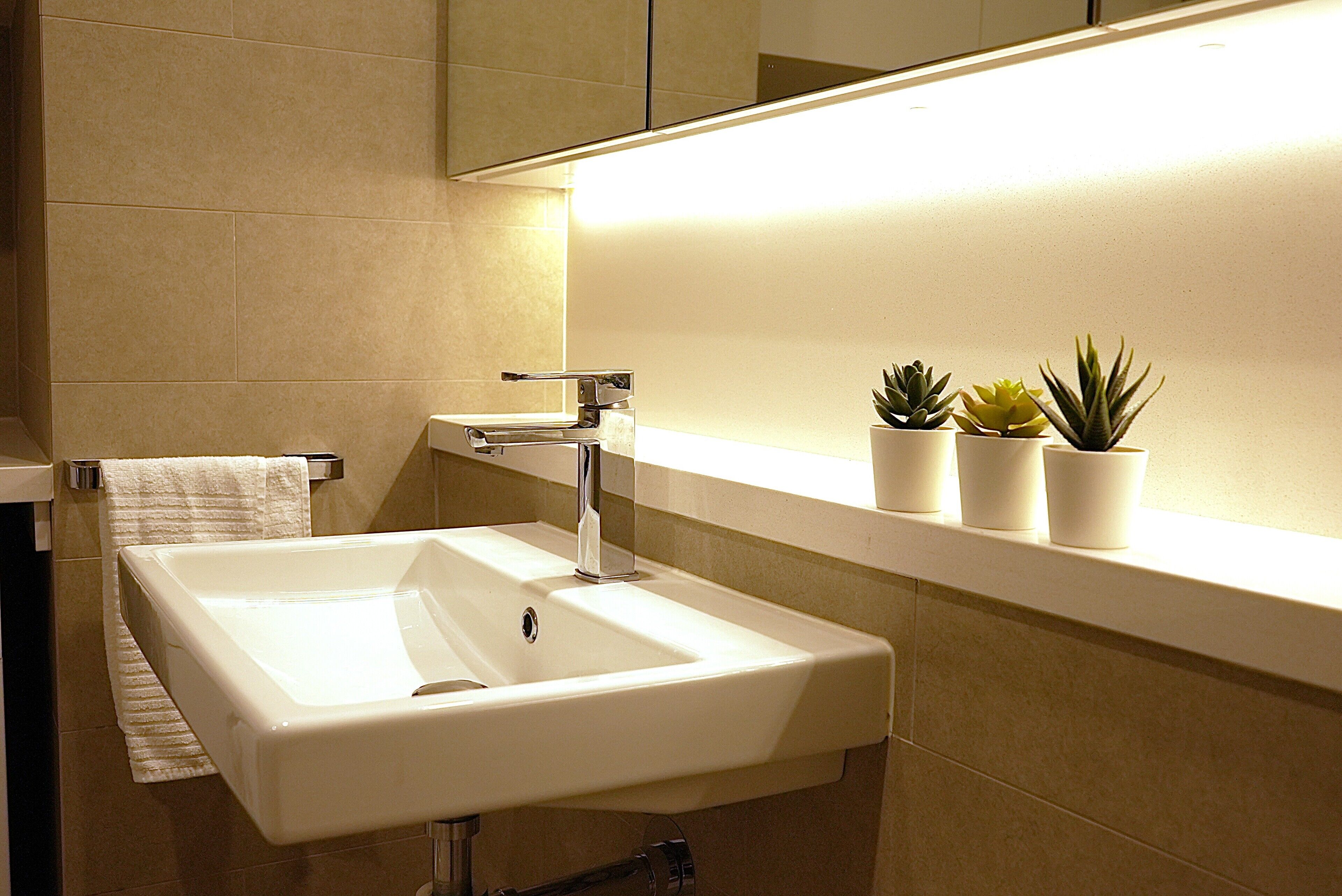 A bathroom with a white sink, a towel rack, and three potted plants on the counter.