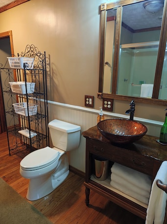 Shower, hair dryer, towels, soap. Pointer Palace