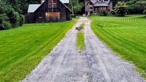 A gravel driveway leading to a rustic barn and a stone house surrounded by lush greenery. - Cozy cabin >> Hottub, WiFi, AC. Easy access to outdoors activities year around (Hancock)