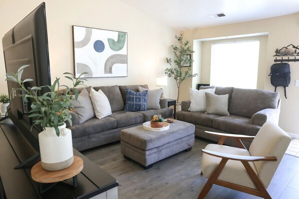 Smart TV, fireplace, books, music library