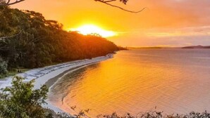 A coastal landscape with a beach and trees during sunset.